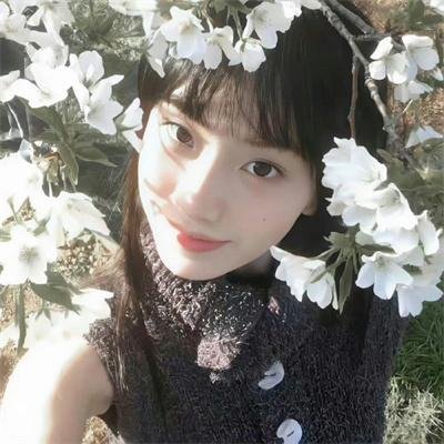 吹落的树叶