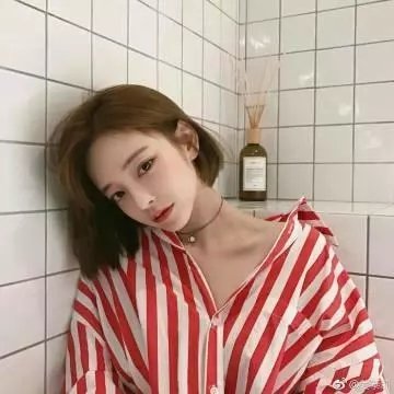蔷薇处处开